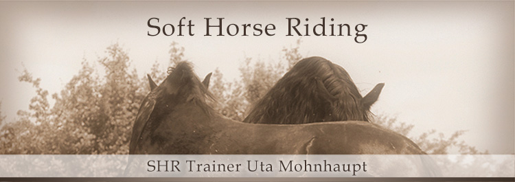 Soft Horse Riding